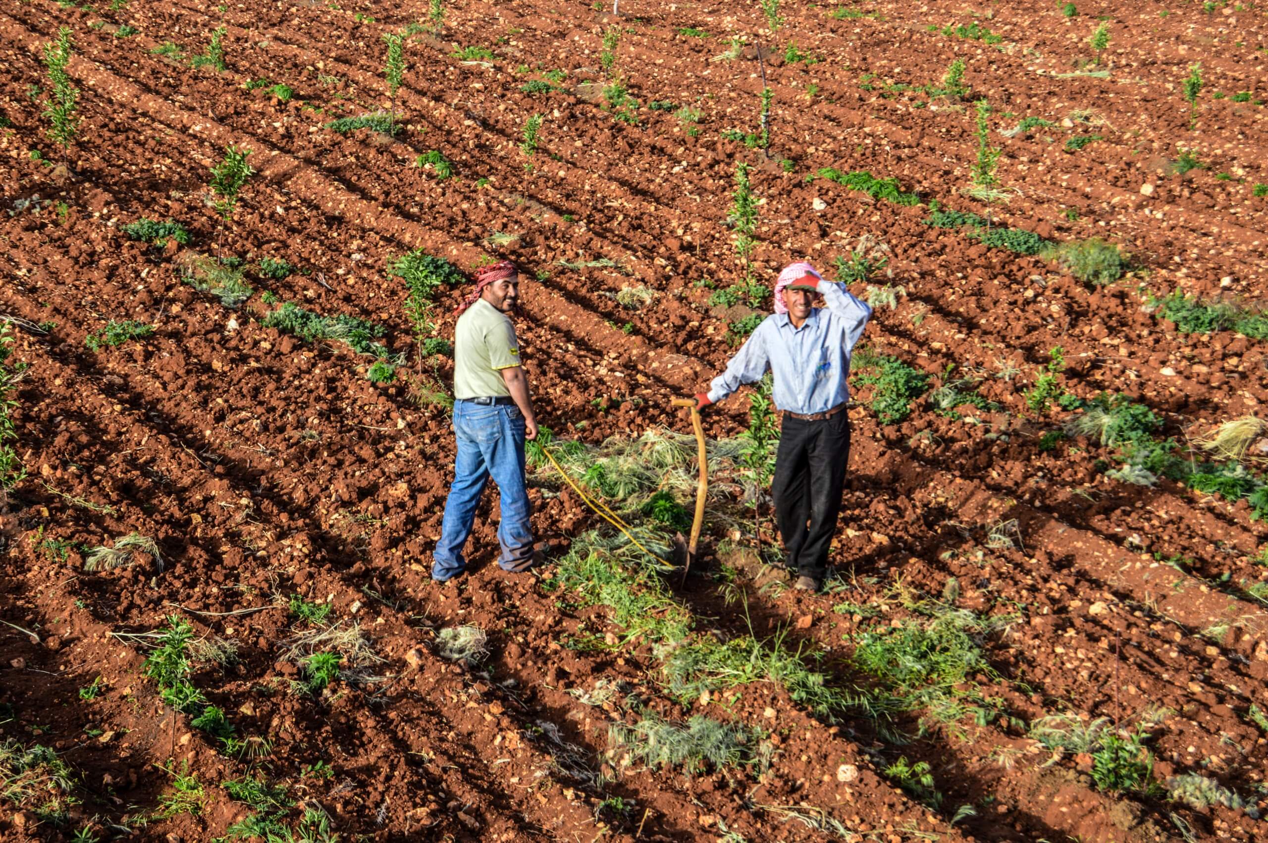 Drilling of a well in the agricultural region of Jabboulé