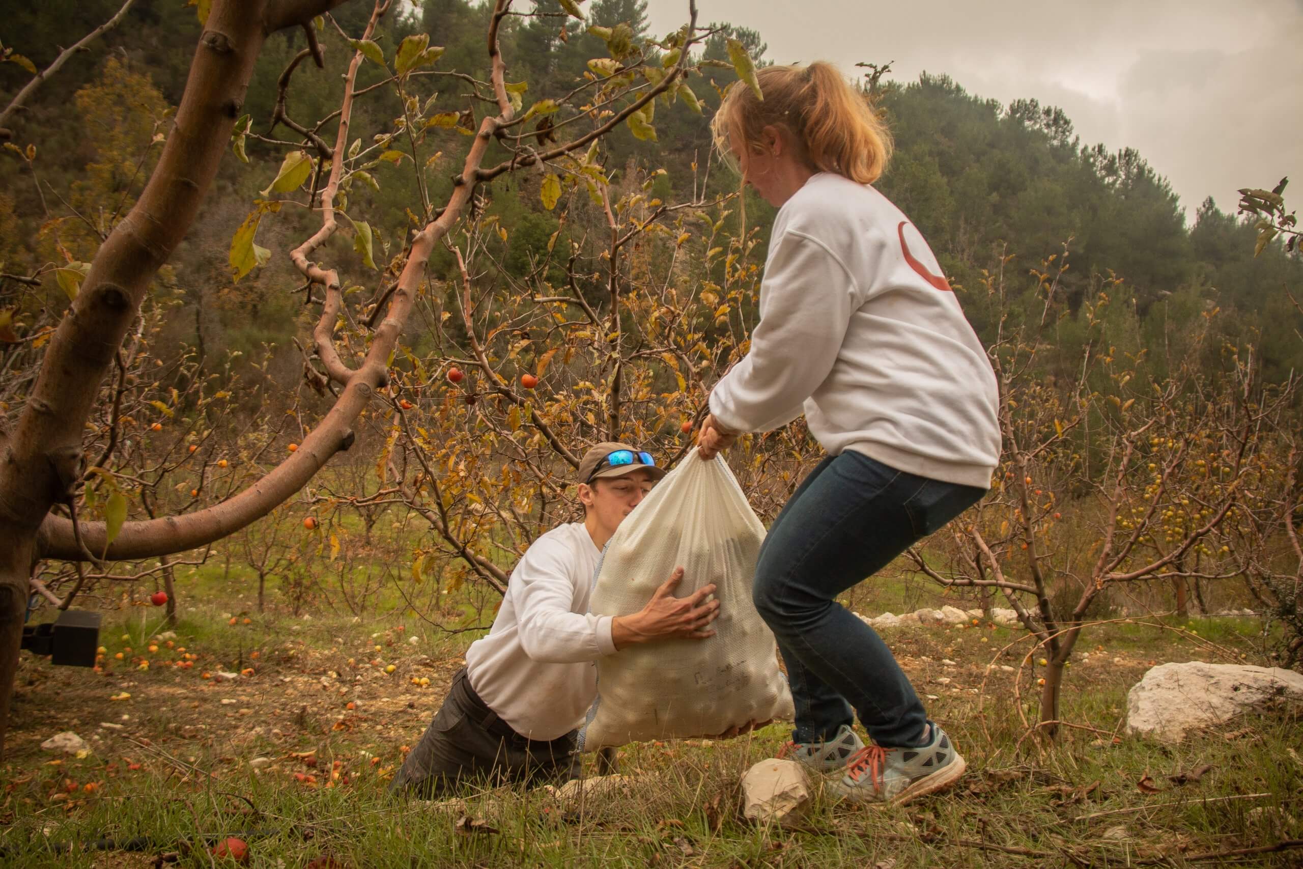 Volunteers help the 7 monks of the Maronite monastery of Mayfouk with agricultural wor