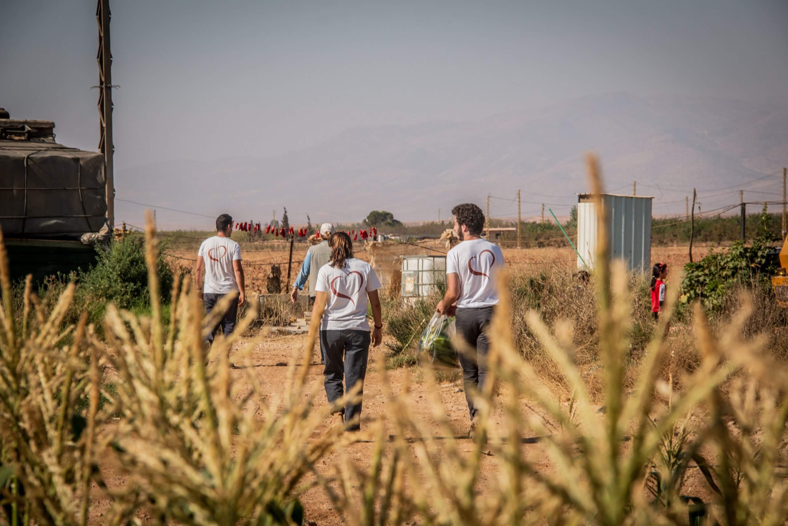 sos-chretiens-orient-liban-volontaires-travaux-agricoles