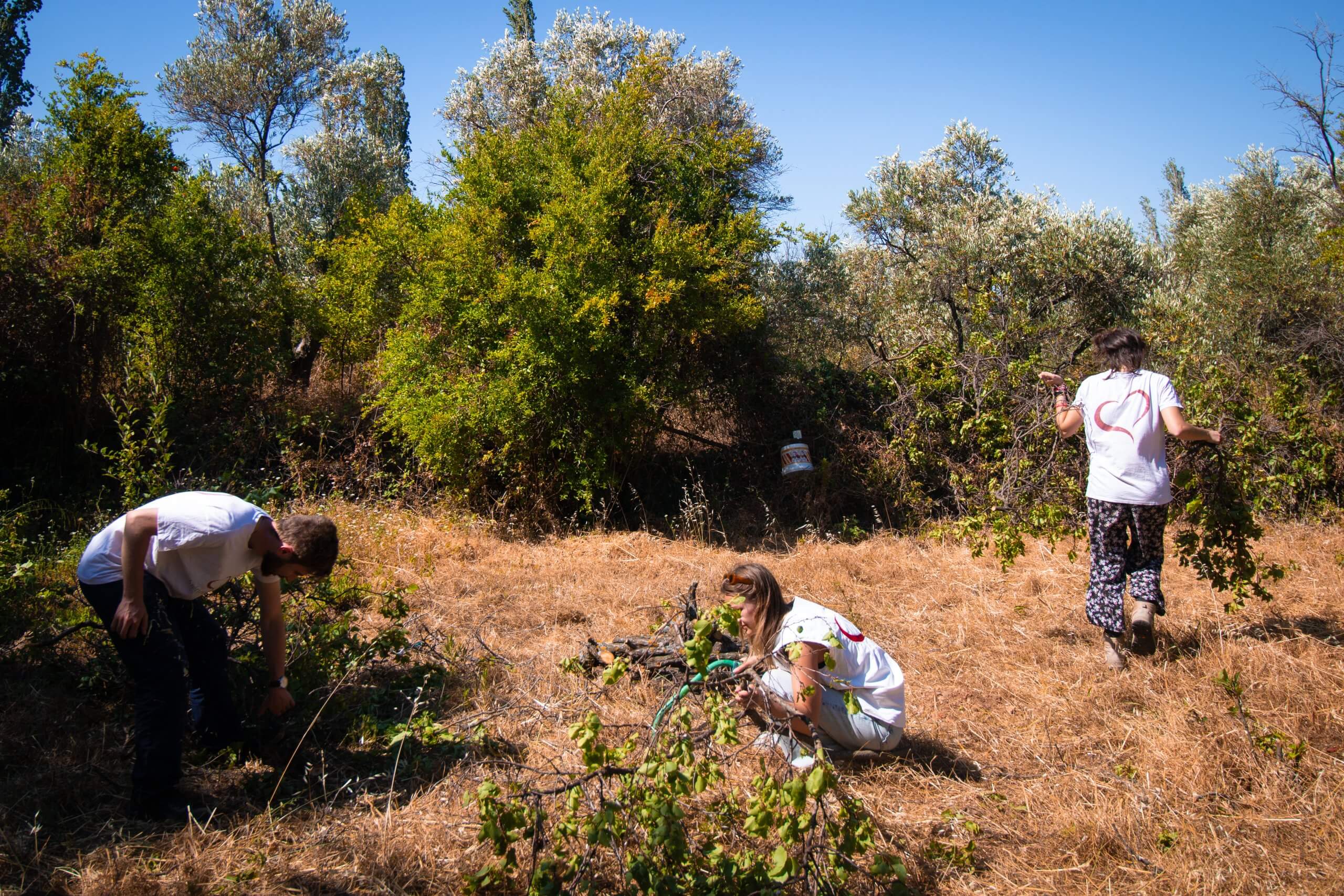 sos-chretiens-orient-syrie-ain-halakim-volontaires-terres-agricoles